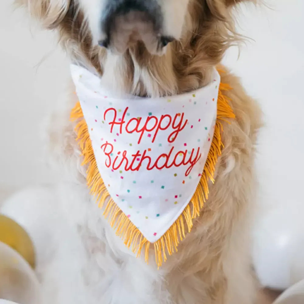 Bandana et os couineur d'anniversaire pour chien – ZippyPaws