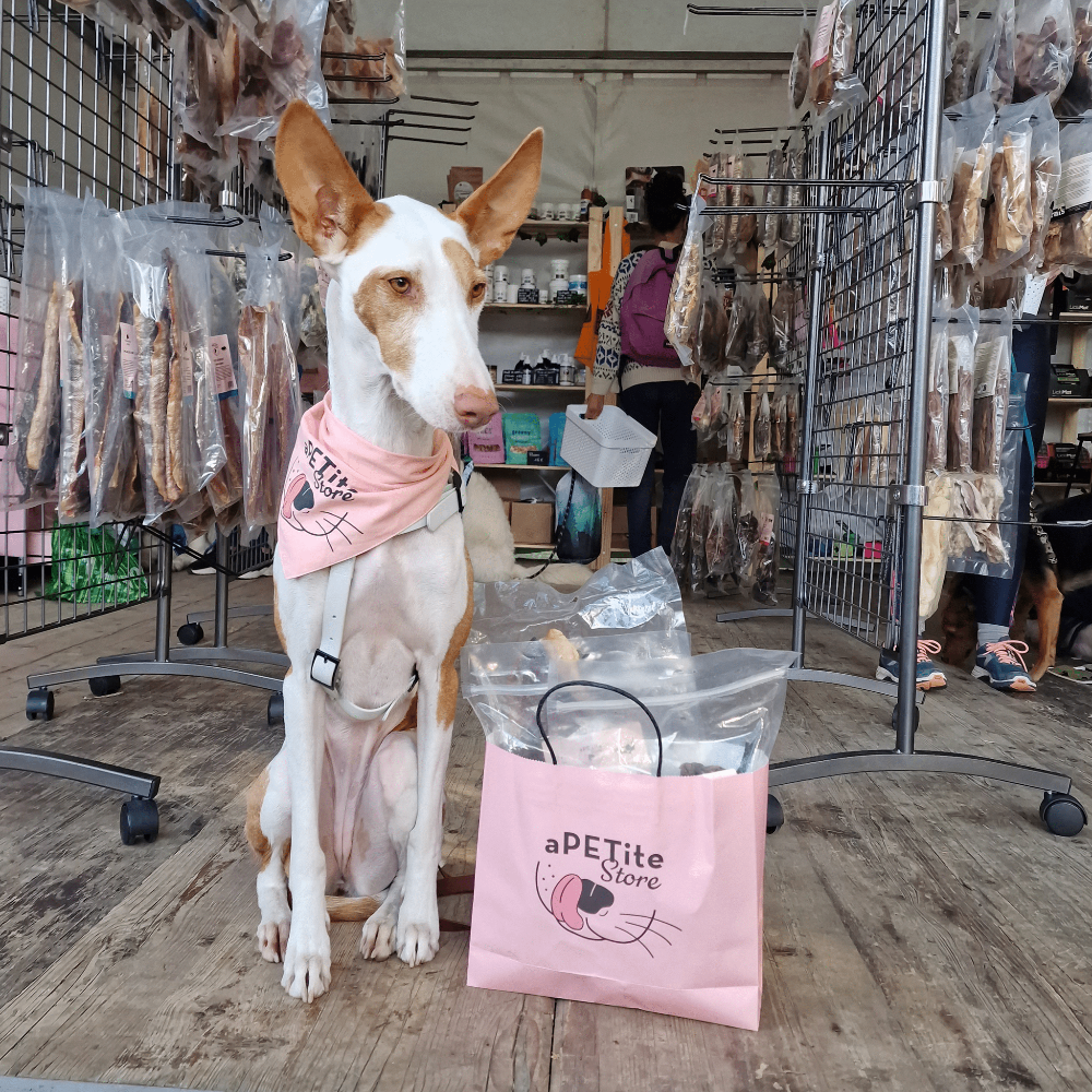 bandana rose pour chien