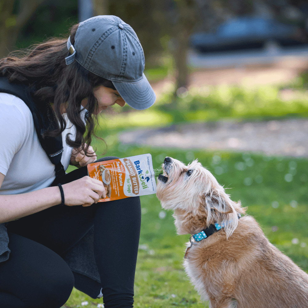 beurre de cacahuete pour chien barkwell