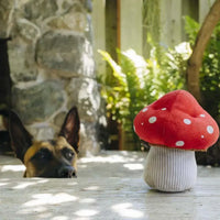 Blooming Buddies Mutt's Mushroom  🍄 – Jeu de fouille interactif champignon pour chien – PET PLAY
