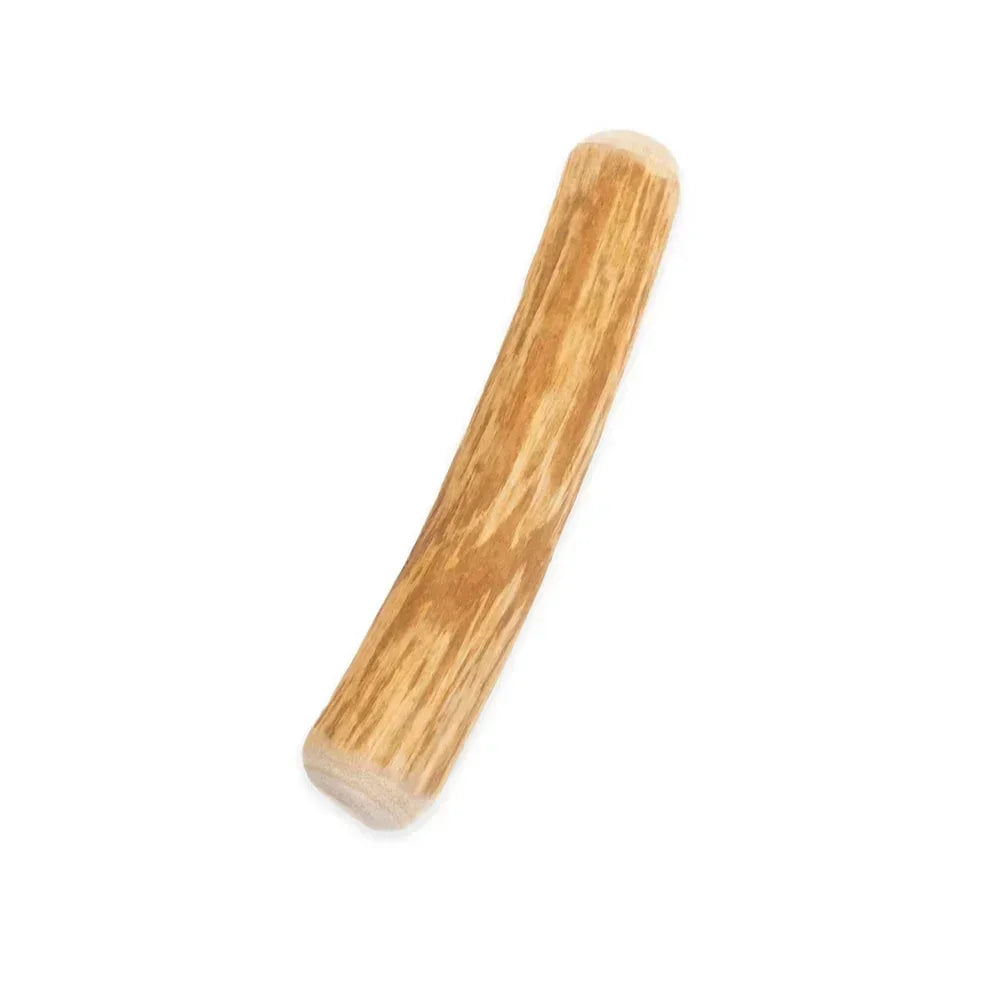 Bois de cannelle pour chien – Mastication longue 100% végétale