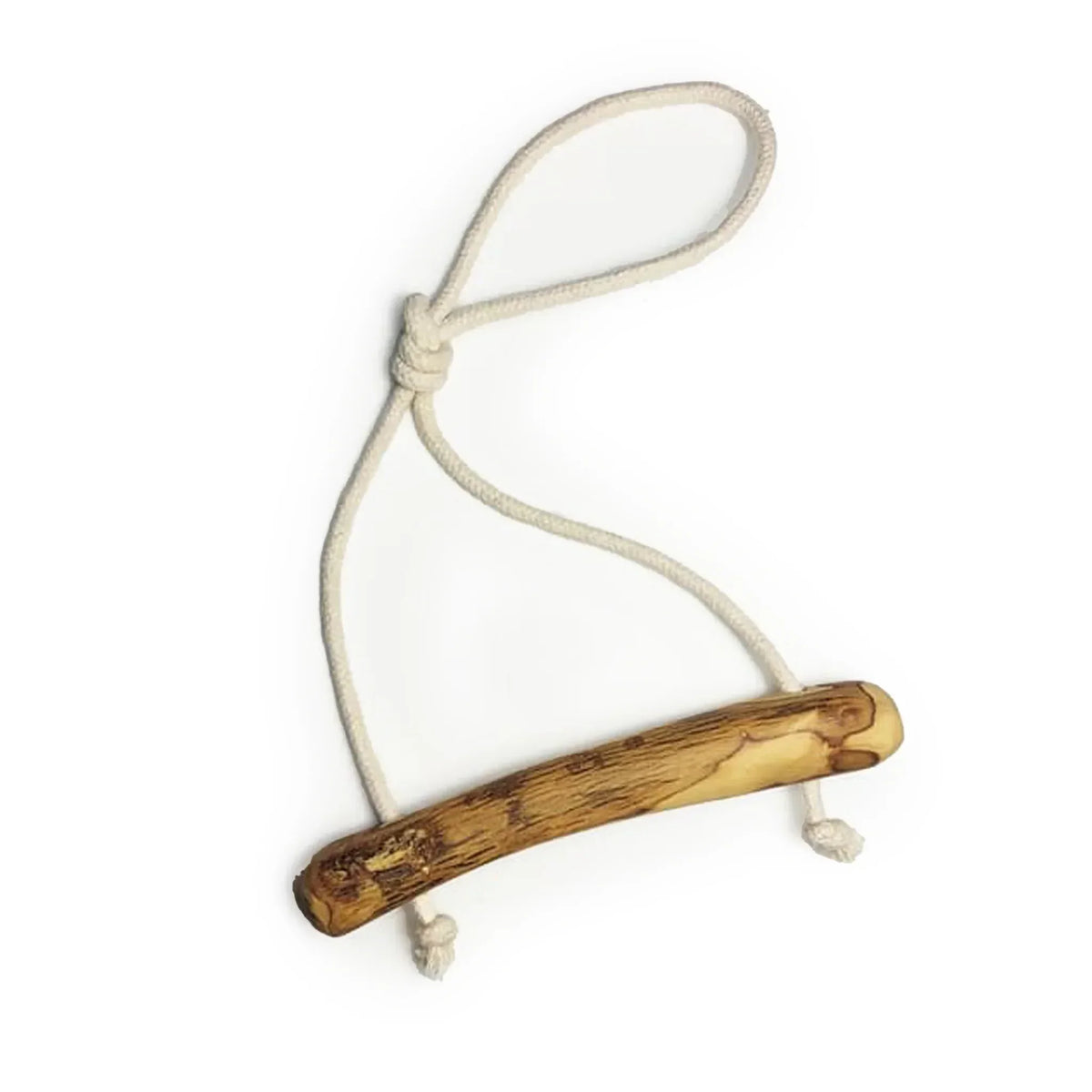 Buffalo horn on rope