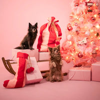 Box de Noël chien entourée de deux chiens devant la chaussette de Noël rouges et roses, garnie de friandises, au pied du sapin rose.