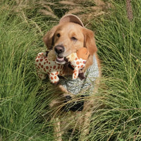 Peluche Girafe pour chien 🦒 – Bungie Buddiez Giraffe Zippypaws