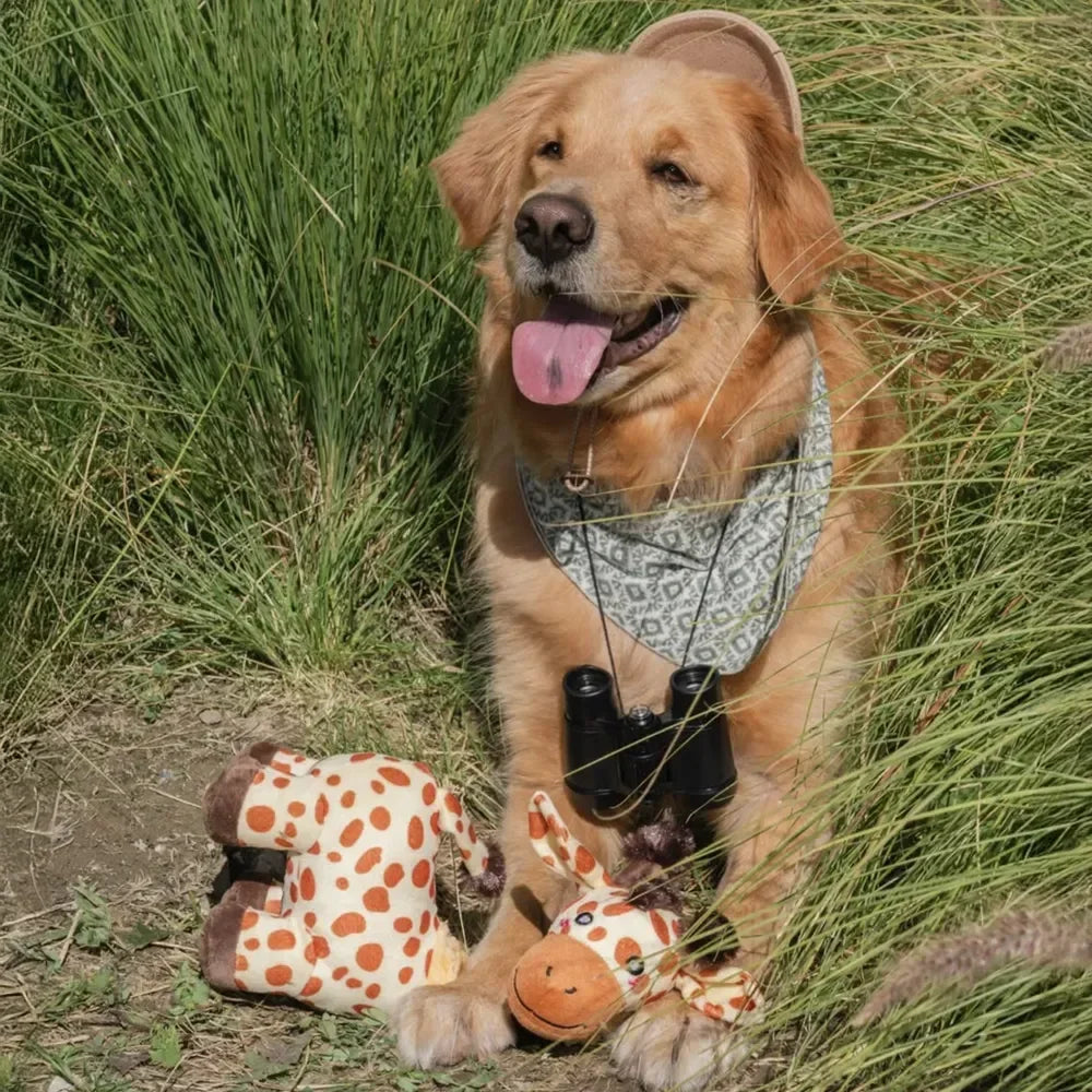 Peluche Girafe pour chien 🦒 – Bungie Buddiez Giraffe Zippypaws