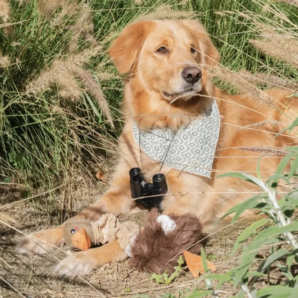 Peluche Autruche pour chien 🪶 – Bungie Buddiez Ostrich Zippypaws