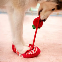 Bungee Burrow Strawberry Jam Zippypaws 🍓 – Jeu de fouille interactif pour chien
