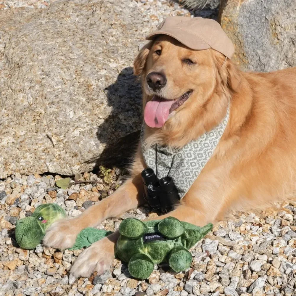 Peluche Dinosaure pour chien 🦖 – Bungie Buddiez Dinosaur Zippypaws