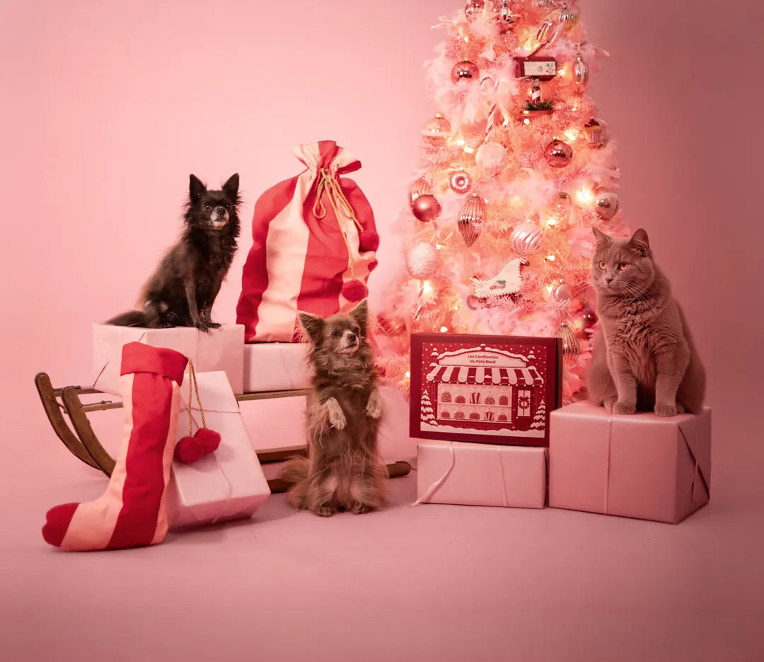 Idées cadeau de Noël pour chien A PET STORE : calendrier de l'Avent pour chien Hotte de l'Avent, box de Noël pour chien chaussette de Noël et calendrier de l'Avent pour chat Les Confiseries du Pôle Nord au pied d'un sapin rose.