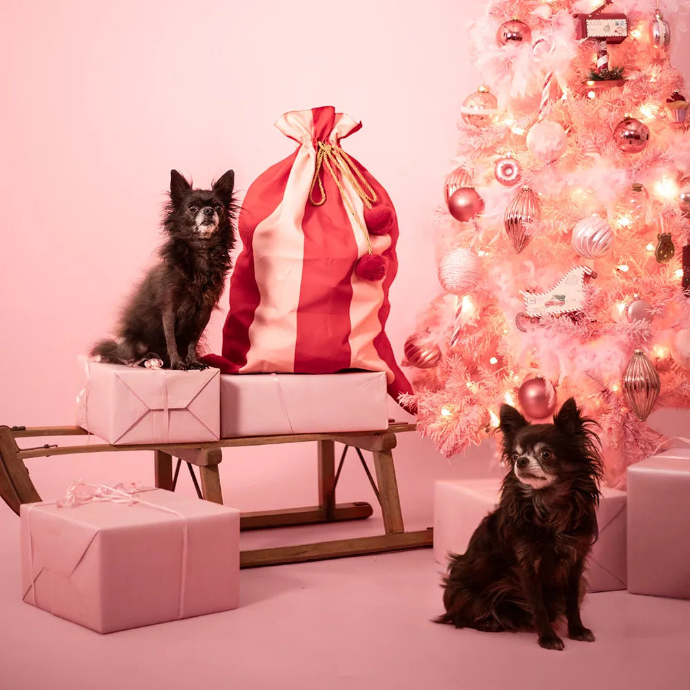 Calendrier de l'Avent pour chien A PET STORE avec deux chiens à poil long qui posent à côté de la Hotte de l'Avent, devant un sapin rose.
