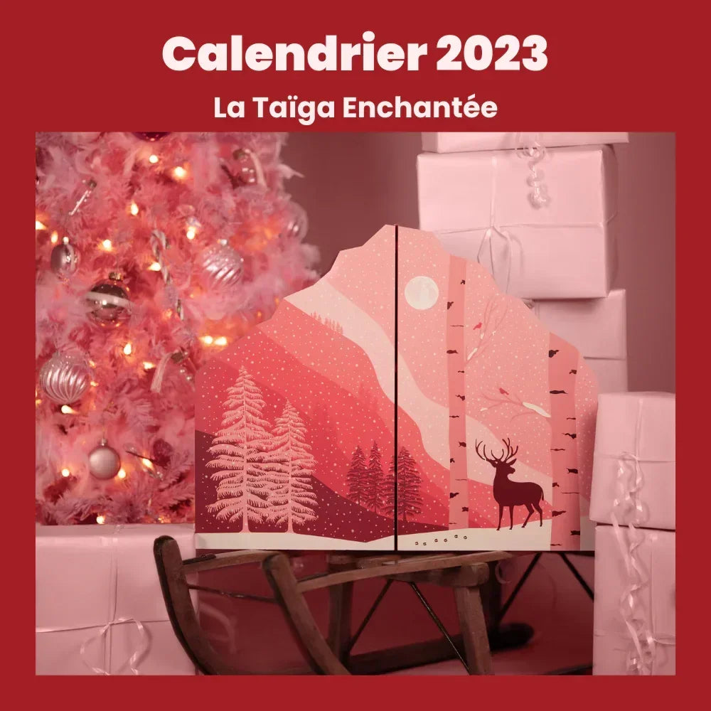 Dog Advent Calendar – Personalized