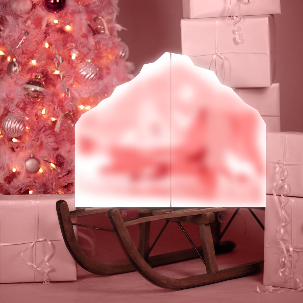 calendrier de l'avent pour chiens apetstore