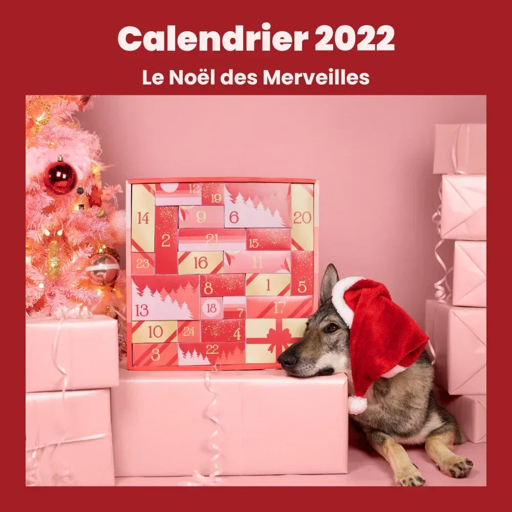 Dog Advent Calendar – Personalized