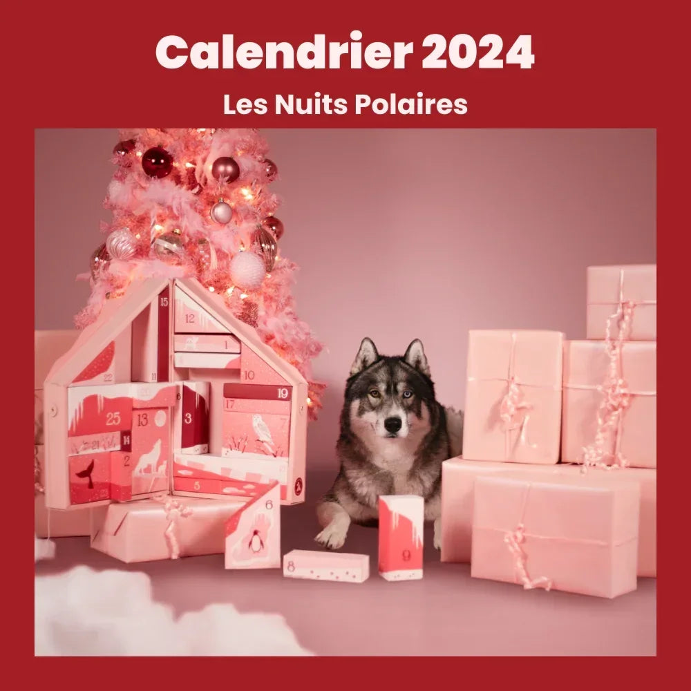 calendriers de l'avent chien 2024