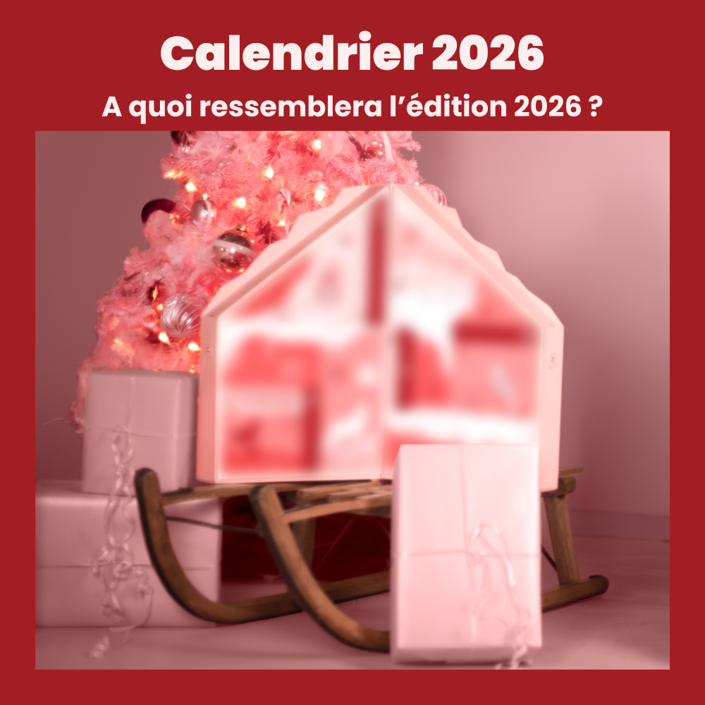 calendrier avent chien 2026 apetstore