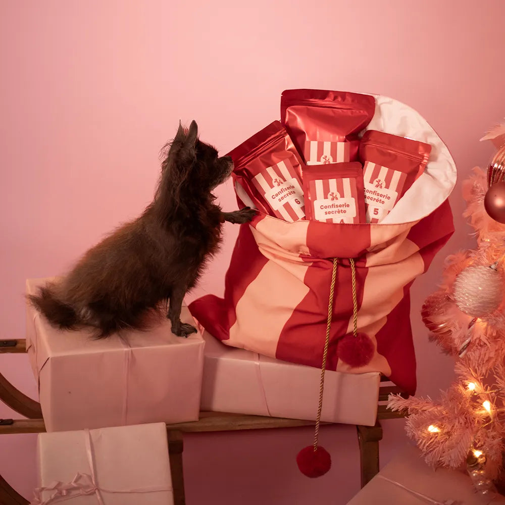 Calendrier de l'Avent pour chien 2026 (Copie)