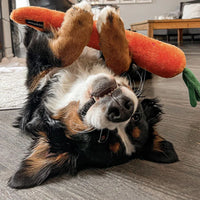 peluche pour chien carotte XXL