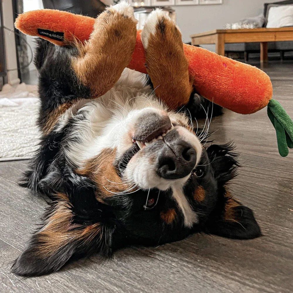 peluche pour chien carotte XXL