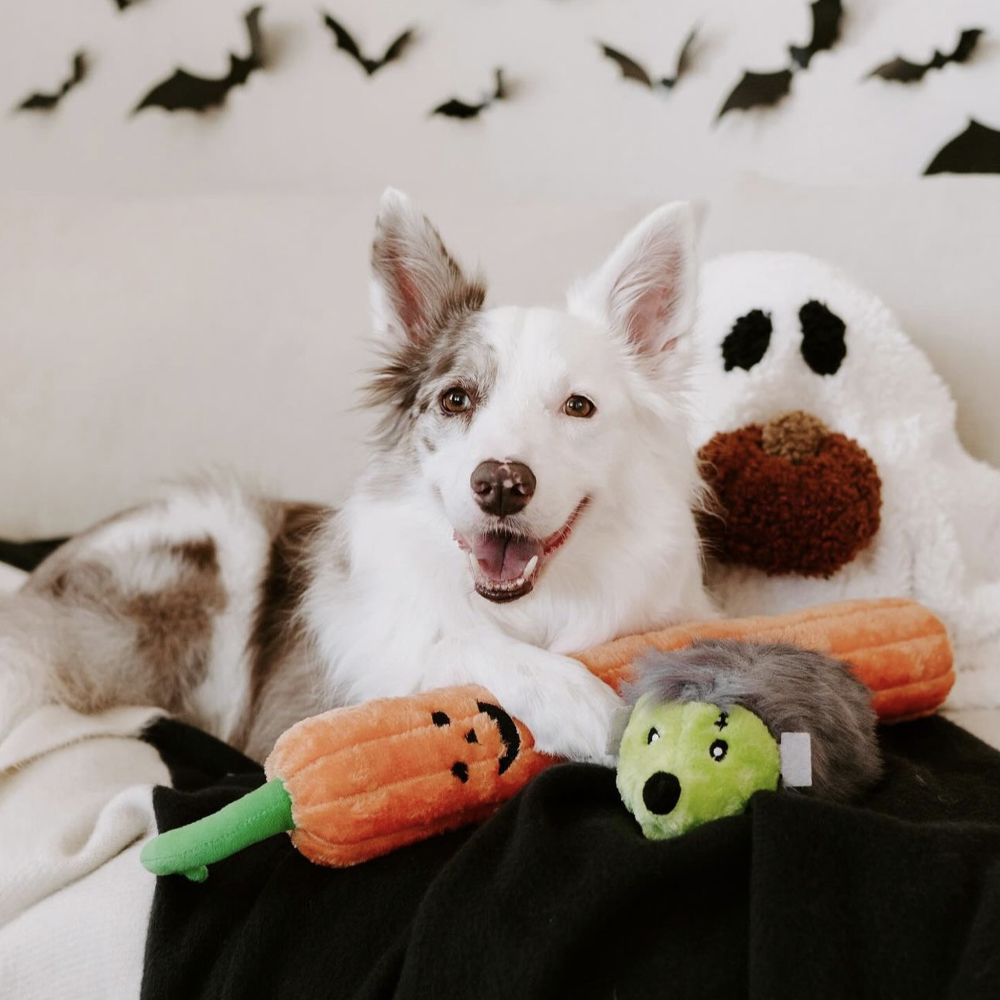 peluche pour chien citrouille jigglerz xxl
