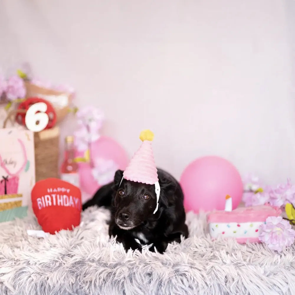 Coffret anniversaire pour chien – ZippyPaws