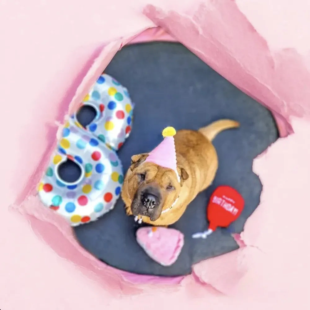 Coffret anniversaire pour chien – ZippyPaws