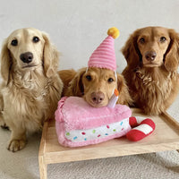 Coffret anniversaire pour chien – ZippyPaws