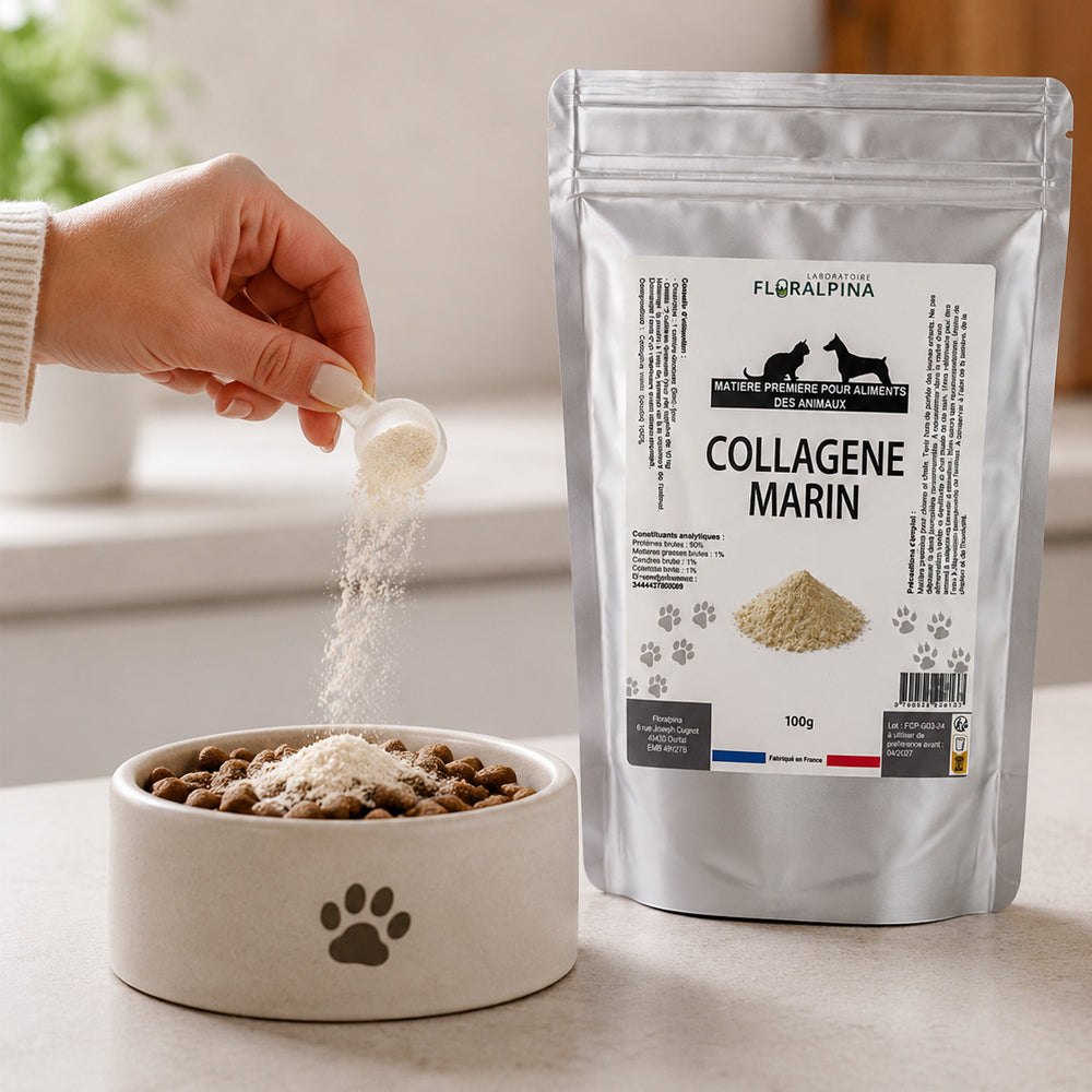 Collagène marin en poudre pour chien et chat – Soutien articulaire – Floralpina – 100g
