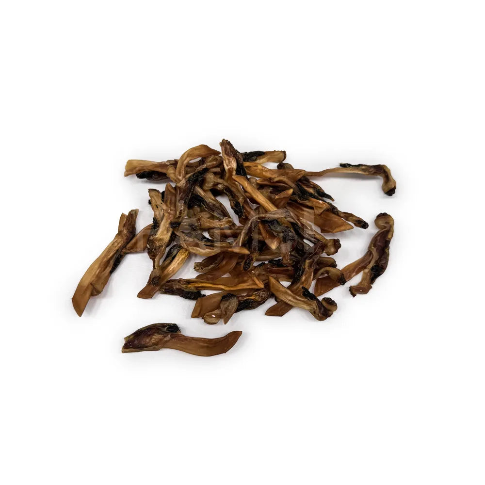 Couteau de mer séché – Friandises naturelles pour chien et chat