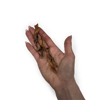 Couteau de mer séché – Friandises naturelles pour chien et chat
