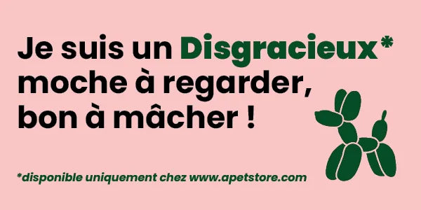 Je suis un Disgracieux, moche à regarder, bon à mâcher ! Anti gasi chien Image