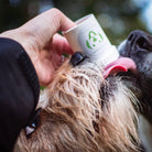 doggy pumper doggyroller