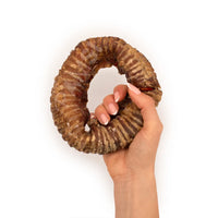 Beef trachea 10/12cm