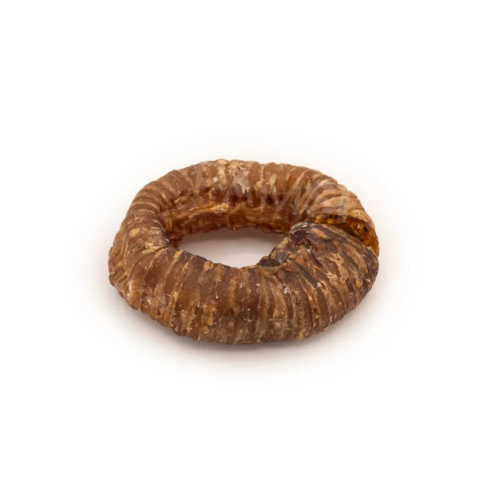 Beef trachea 10/12cm