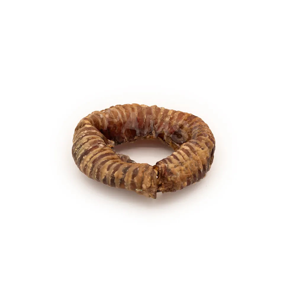 Beef trachea 10/12cm