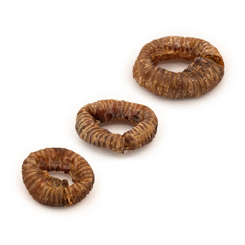 Beef trachea 10/12cm