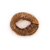 Beef trachea 10/12cm