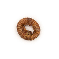 Beef trachea 10/12cm