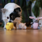 peluche de flair easter friends miniz pour chien