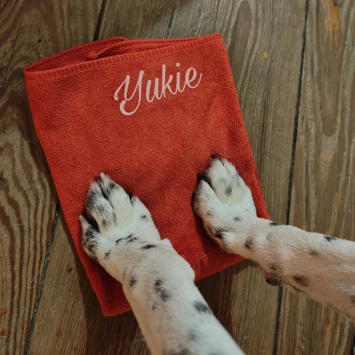Essuie-Pattes personnalisés pour chiens et chats – Le Royaume des Glaces