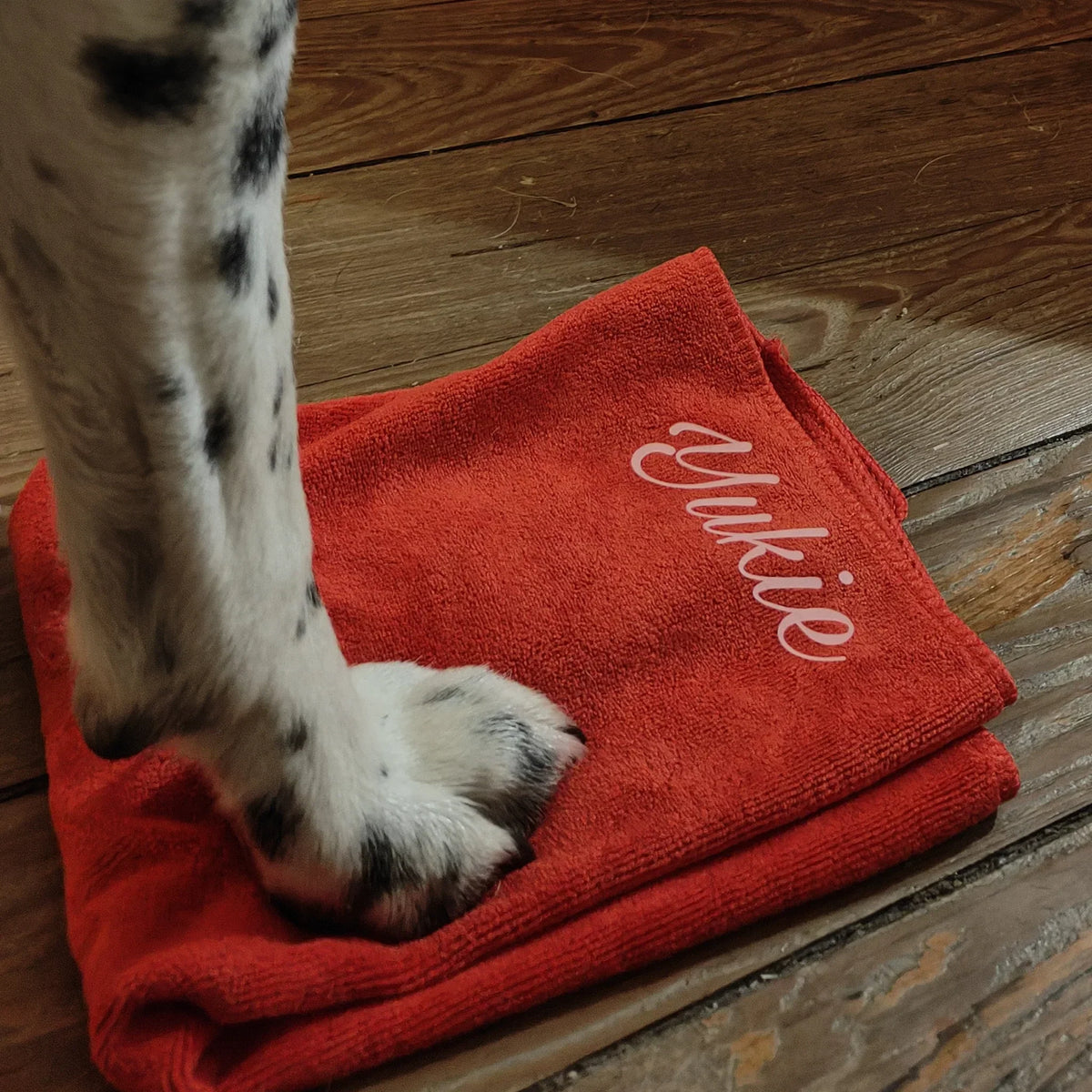 Essuie-Pattes personnalisés pour chiens et chats – Le Royaume des Glaces