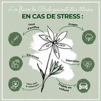 Fleurs de Bach n° 1 LaPura – Granules apaisantes pour chien et chat – 10g