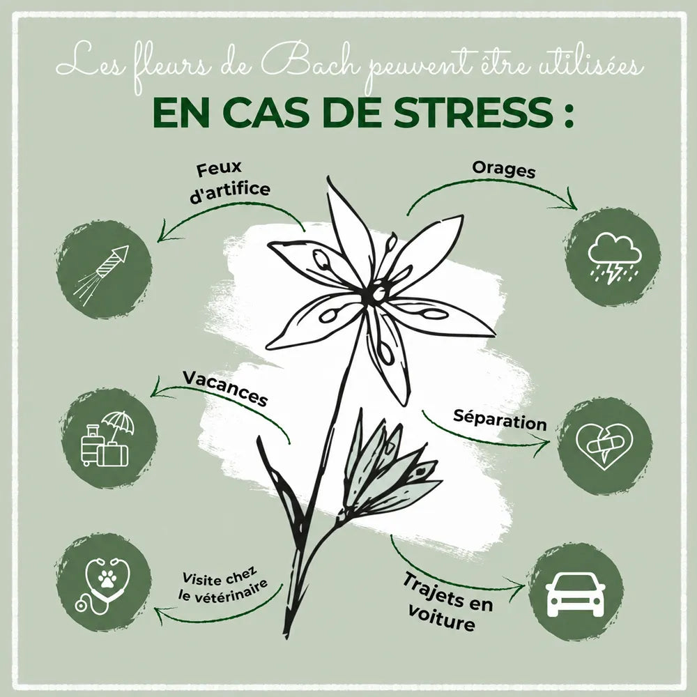 Fleurs de Bach n° 1 LaPura – Granules apaisantes pour chien et chat – 10g
