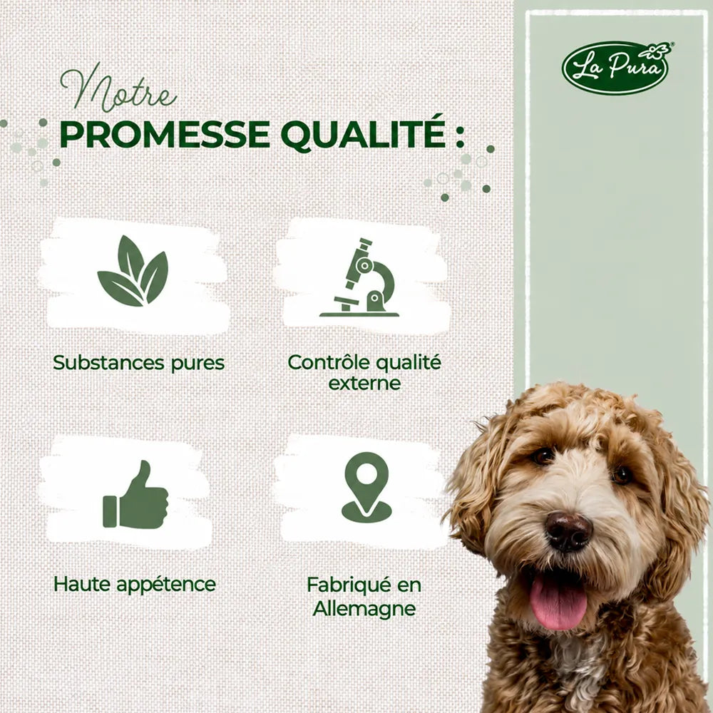 Fleurs de Bach n° 1 LaPura – Granules apaisantes pour chien et chat – 10g