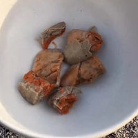 Foie de lotte au naturel Canumi – DDM dépassée – Les Disgracieux®