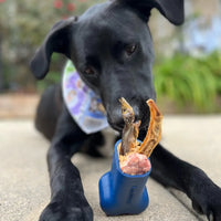 Freezbone – Jouet d'enrichissement à congeler pour chien