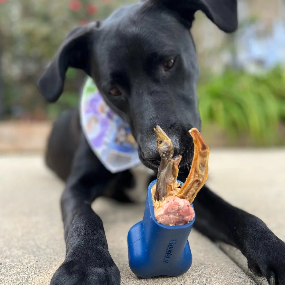 Freezbone – Jouet d'enrichissement à congeler pour chien