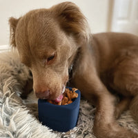 Freezbox – Distributeur de friandises à congeler pour chien – Freezbone