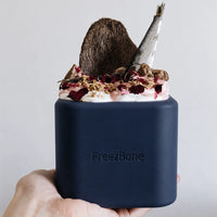 Freezbox – Distributeur de friandises à congeler pour chien – Freezbone