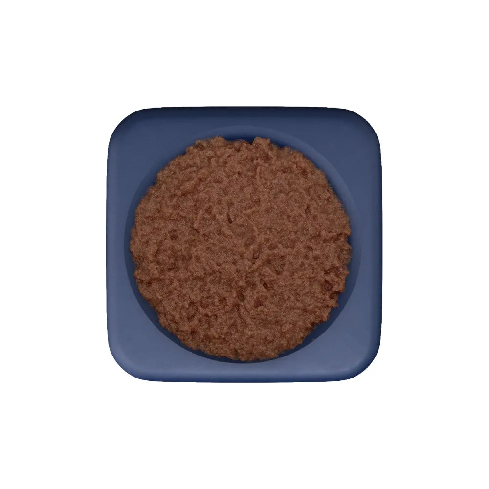 Freezbox – Distributeur de friandises à congeler pour chien – Freezbone
