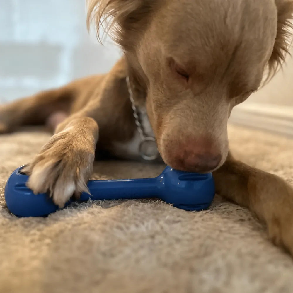 Freezdouble – Jouet d'enrichissement à congeler pour chien – Freezbone